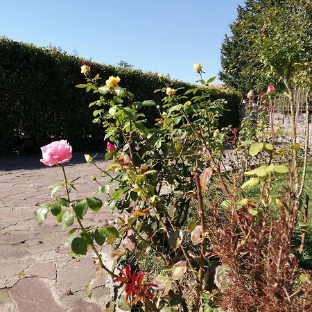 Villa Oasi サン・ジュリアーノ・テルメ エクステリア 写真